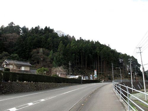 道の駅付近の里まで降りてきた森づくり。写真左奥方向へ、整備を進めていきます。（撮影：2010年１月１日10:06＠神領字西上角）