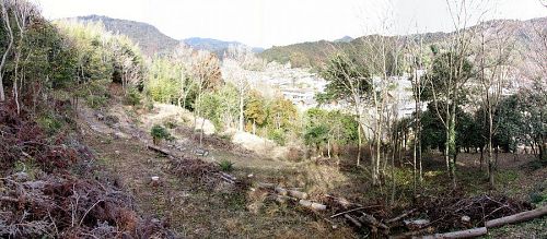 神山温泉対岸、ふれあい公園の上の斜面が植樹予定地です。