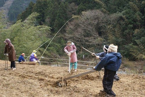 案山子の展示場所が広がりました。