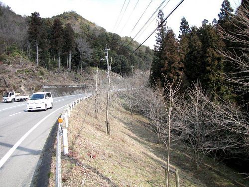 車高の高い路線バス覗かれても、ちょっとばかり自信ありです。今回は！