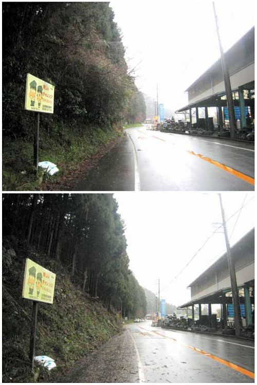 道の駅方面からの景観の変化。杉の木の間から少し空が覗けるようになりました。