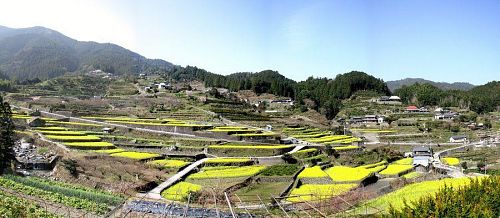 日本の田舎を感じさせる江田集落。菜の花や水田の時期は格別に美しい。（2010年３月20日09:50）