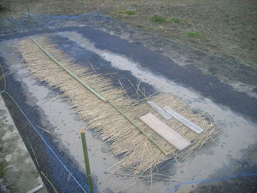 新しい田んぼ　その２　神領北