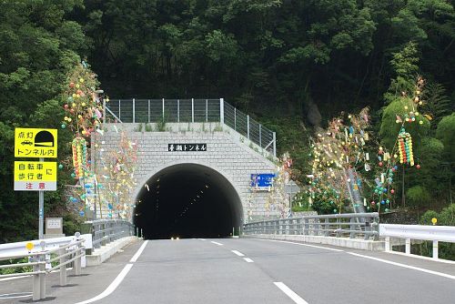 養瀬のトンネルを過ぎると本数が急に増えます。