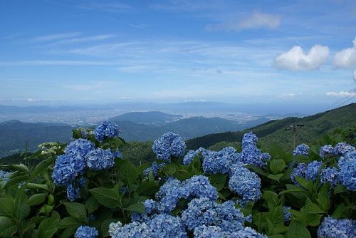 山頂からの見晴らしも最高です。