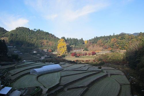 ｢大久保の里｣全景（2010年11月30日08：32撮影）