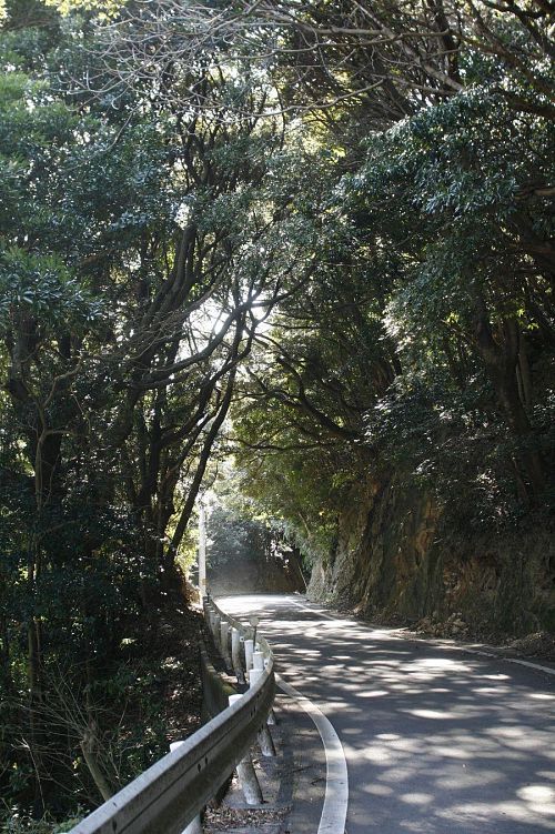 通学路です。健脚な少年についていくのが精一杯な山道。