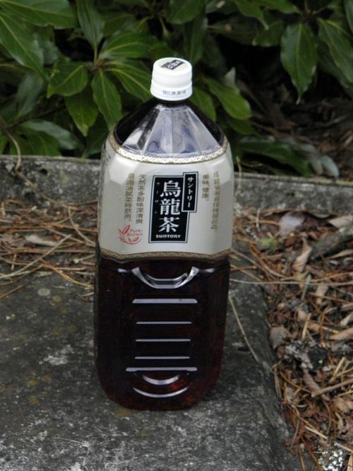 麦茶