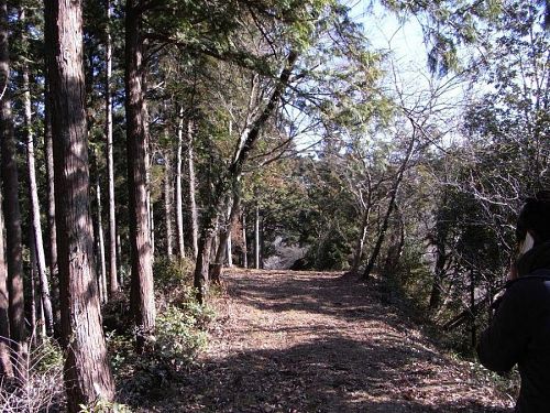 パズーとハウルとメイの神山さんぽ