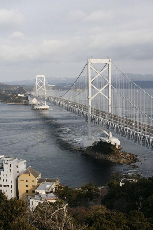 さては今日はぐるぐる渦巻いていたのでは？と思える海流