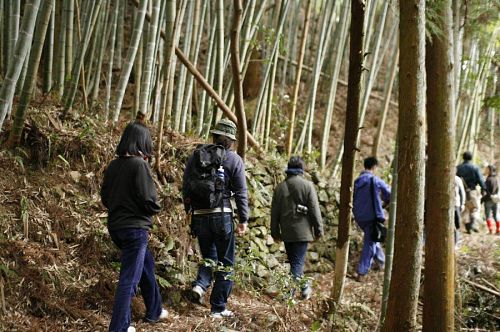 音をつけるとすれば、まさしく「ぞろぞろ」な１枚。