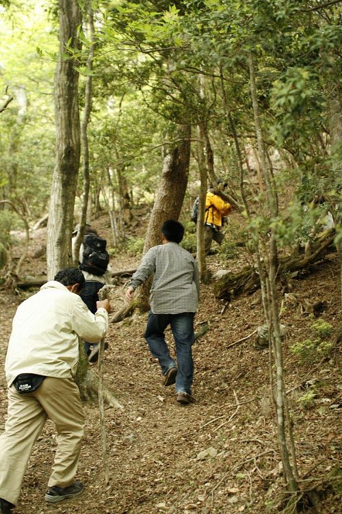 言い出しっぺの岩丸父さん。ひさしぶりの登山に杖は欠かせません。