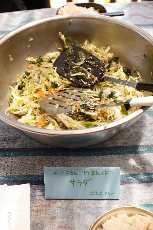 ジュリアンは野菜たっぷりサラダ。これも「やったー！」部類。