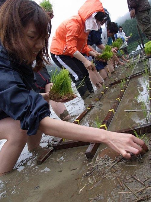 さぁ、田植え!!