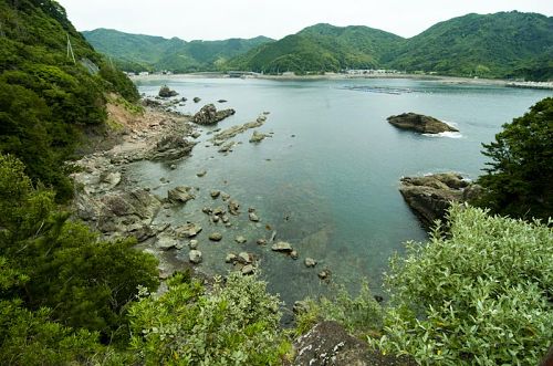 恵比須洞から恵比須浜の眺め。(更に奥に美波Labがあります！)太平洋に面していながらも内にへこんでいるのでとても穏やかです。