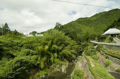 国道438から県道43に曲り橋を渡って焼山寺向かう道の最初の橋を左に曲り、上ル。