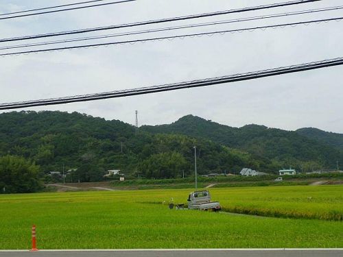 田園風景１