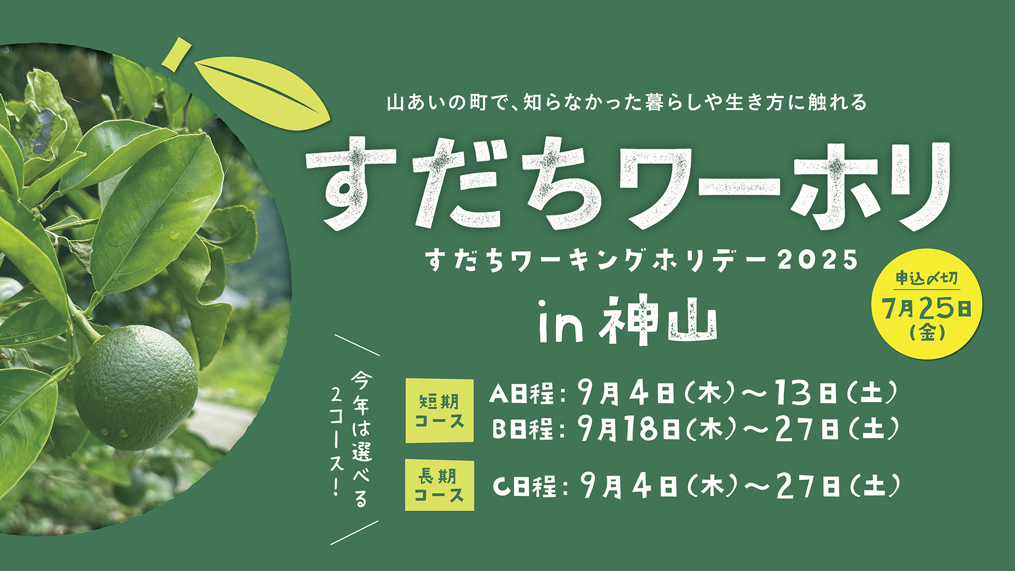 2025年も開催！／すだち収穫バイトをしながら、神山に滞在する「すだち