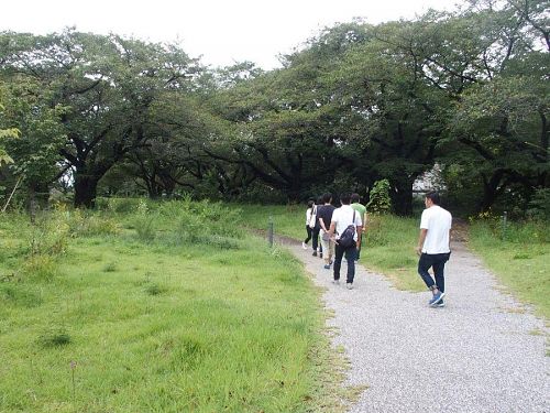 味の素スタジアム・西競技場「みどりの広場」