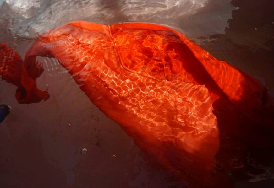 草木染めで自然の色を楽しもう」第7回 茜染め編 [手でつくる教室21