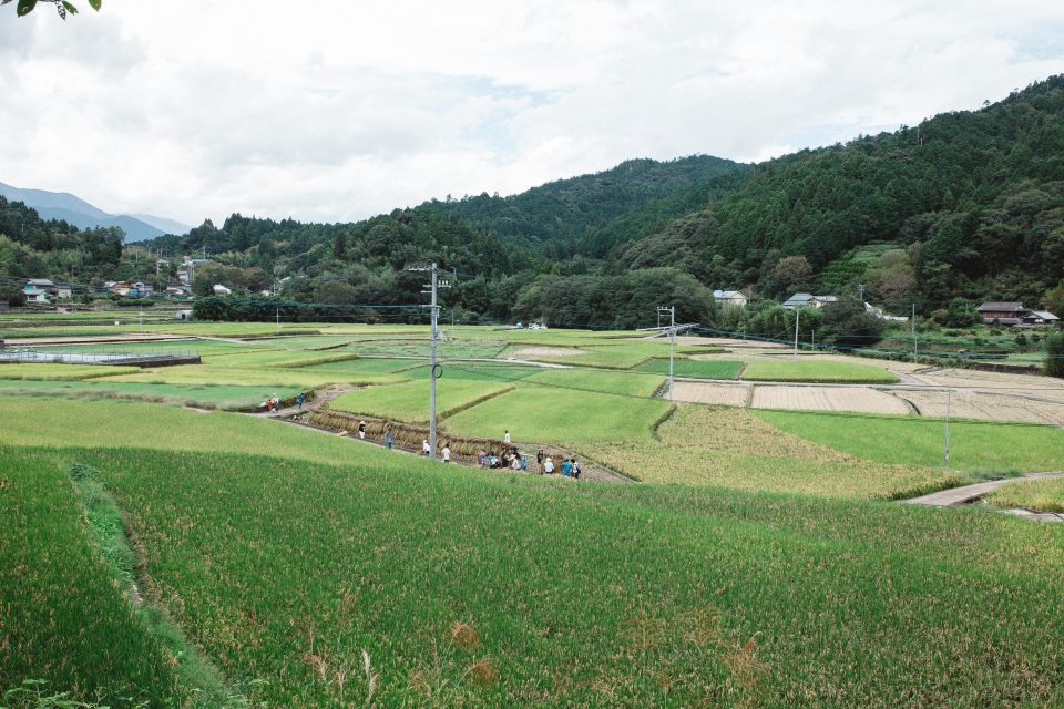 いま感じていることが、言葉になるまで