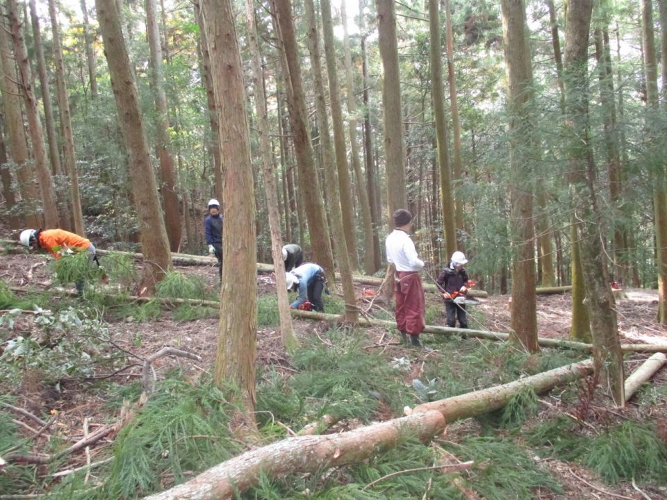 神山のまちの手入れ