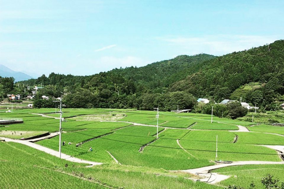 「つなぐ農園」と「里山の会」