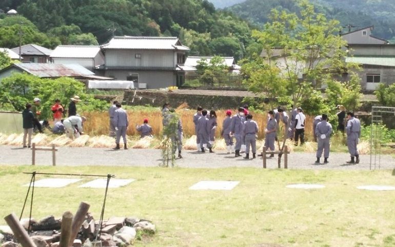 まちの畑は、食べることにつながっている