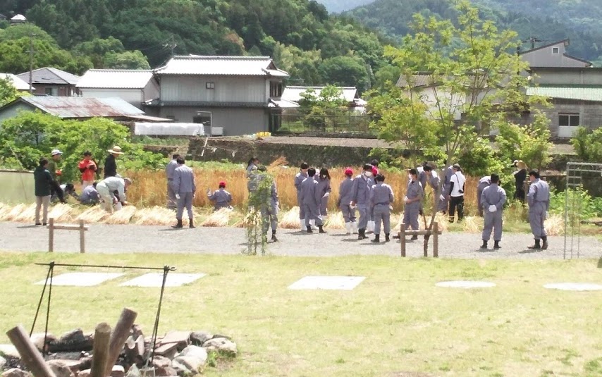 まちの畑は、食べることにつながっている