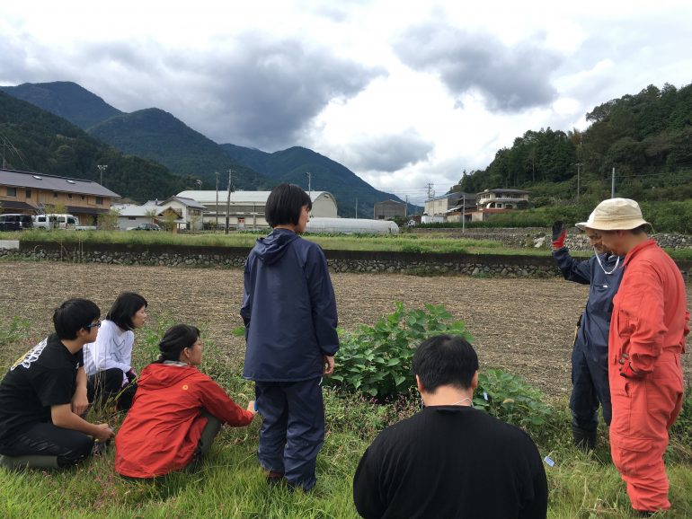 「選択除草」を面白がる人たち