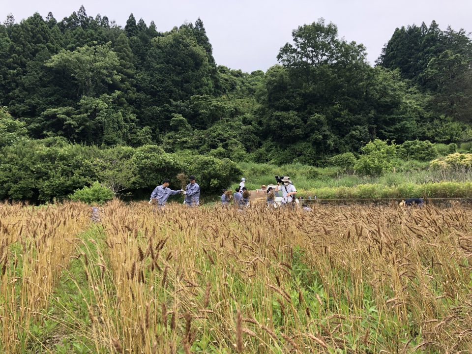 婆ちゃんの醤油や味噌づくりを、僕は受け継ぐ時間がなかったけど