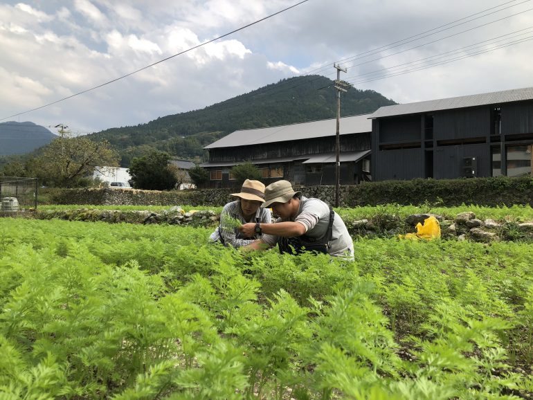 徳島県神山町で有機農業を始めてみませんか？農業研修生を募集しています。／株式会社フードハブ・プロジェクト