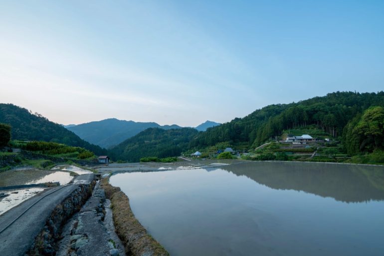 水田景色 水田景色