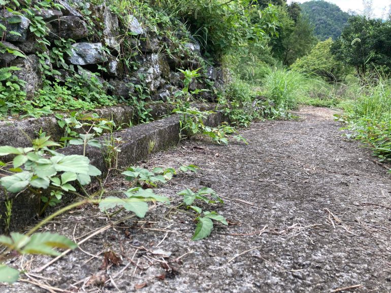 コンクリート道 コンクリート道