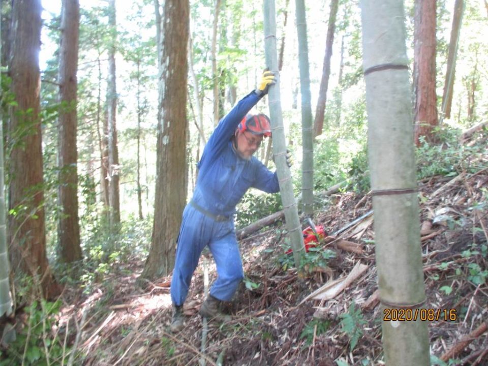 山で暮らすこと　神山の「百姓きこり」たち
