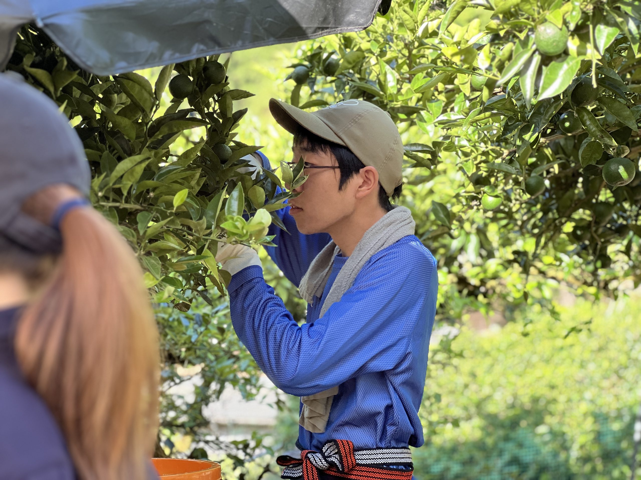 神山とすだちが大好きになりました」／すだちワーホリ開催Report#1