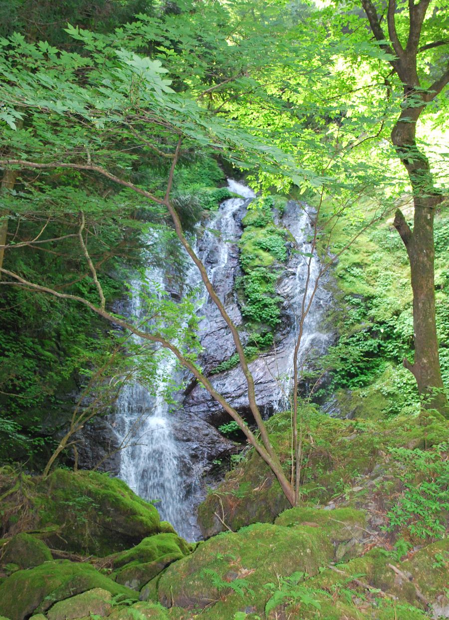 魚止めの滝 イン神山 神山町のいまを伝える