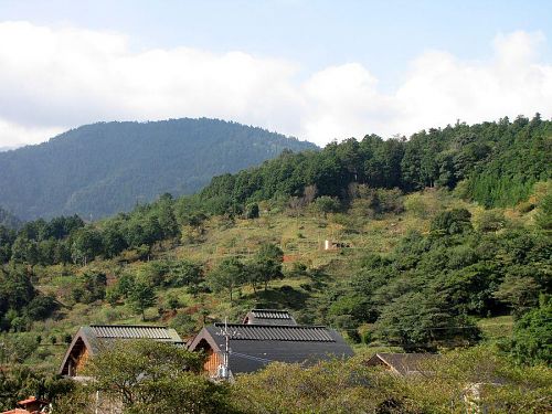 大粟山（255m）の東斜面中腹に移設された『杣径』（KAIR2009安岐理加作）。対岸にある神山温泉（写真手前）から歩いて５分ほどの距離です。